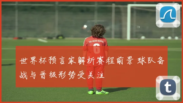 世界杯预言家解析赛程前景 球队备战与晋级形势受关注