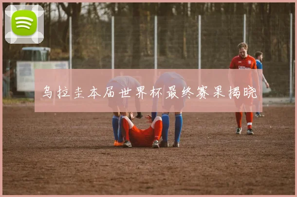 乌拉圭本届世界杯最终赛果揭晓