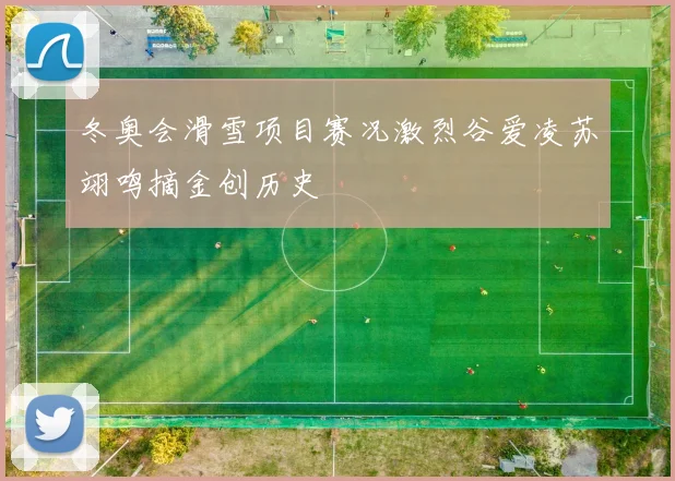 冬奥会滑雪项目赛况激烈谷爱凌苏翊鸣摘金创历史