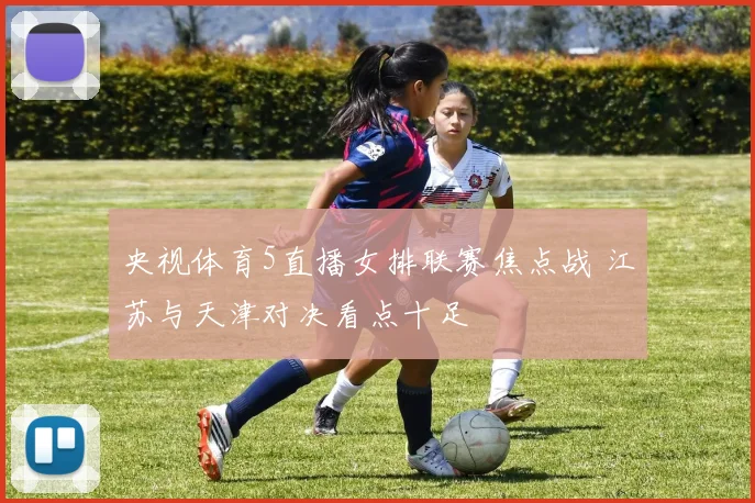 央视体育5直播女排联赛焦点战 江苏与天津对决看点十足