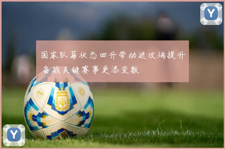 国家队莓状态回升带动进攻端提升 备战关键赛事更添变数