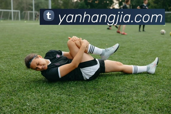 必一运动体育app官网发展历程